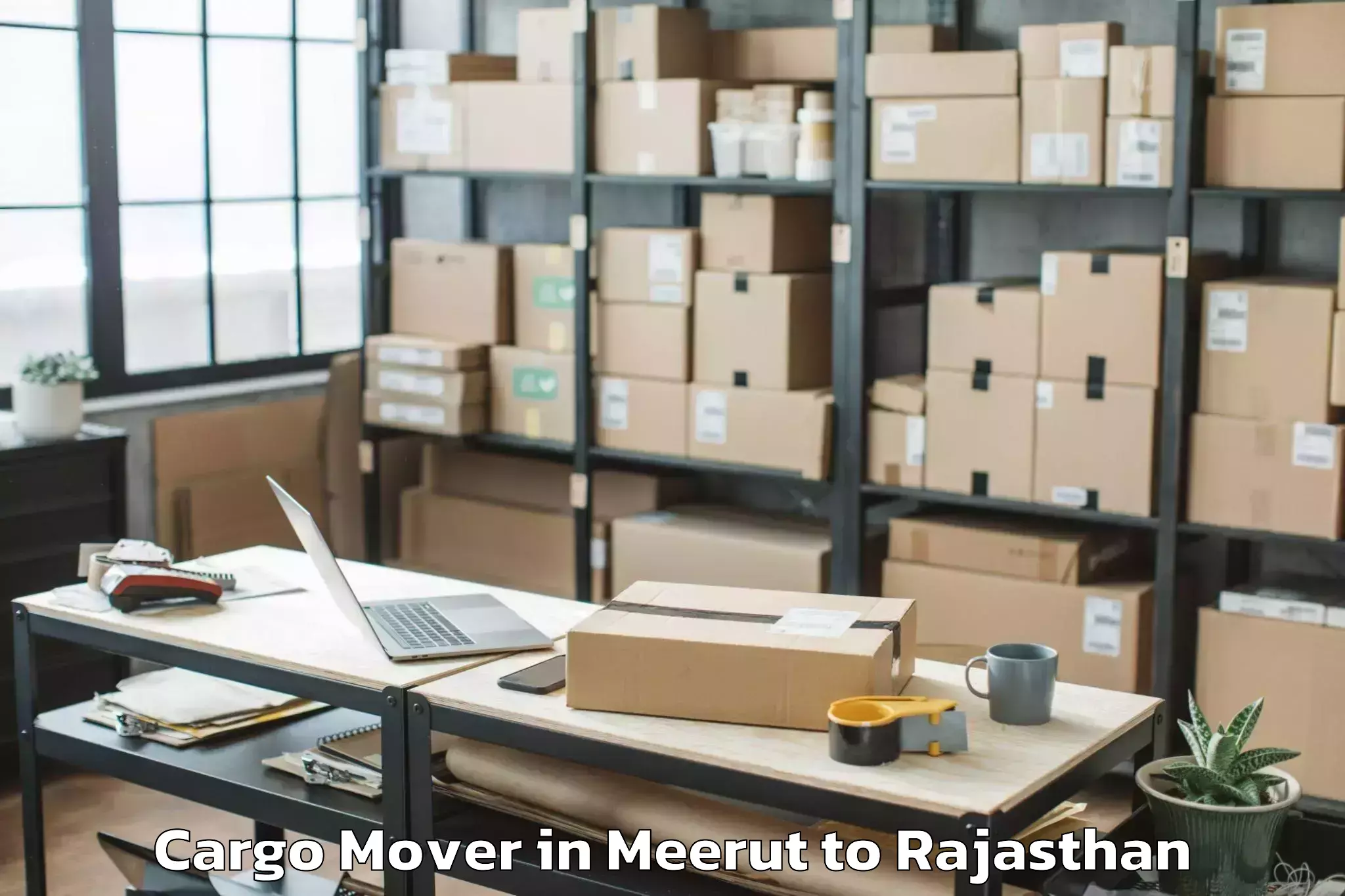 Efficient Meerut to Pratapgarh Rajasthan Cargo Mover